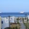 Ionia Studios_holidays_in_Hotel_Central Greece_Evia_Karystos