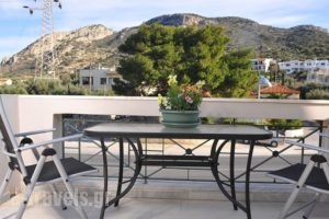 Dialinas Apartments_lowest prices_in_Apartment_Crete_Lasithi_Kalo Chorio