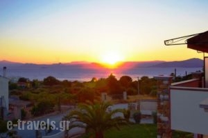Saint George's Hotel_holidays_in_Hotel_Central Greece_Attica_Spata