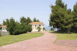 Villa Epsilon_best prices_in_Villa_Macedonia_Halkidiki_Kassandreia