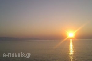 Pelagia Beach Studios_holidays_in_Hotel_Piraeus Islands - Trizonia_Kithira_Kithira Rest Areas