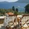 Lithea Villas and Studios by the Sea_holidays_in_Villa_Sporades Islands_Skopelos_Neo Klima - Elios