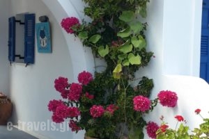 Nataly & Katrin Apartments_lowest prices_in_Apartment_Cyclades Islands_Sandorini_Imerovigli