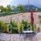 Lakmos_best deals_Hotel_Epirus_Ioannina_Terovo