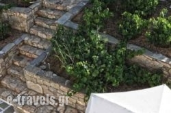 Haris Apartments_s __3