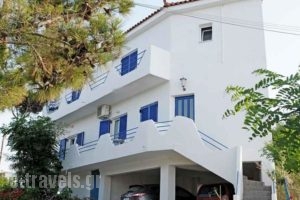 Haris Apartments_best deals_Apartment_Aegean Islands_Ikaria_Raches