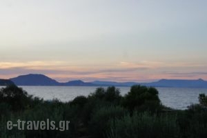 Molos Apartment_best deals_Apartment_Ionian Islands_Corfu_Corfu Rest Areas