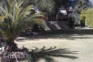 Villa Kapa_accommodation_in_Villa_Piraeus Islands - Trizonia_Aigina_Marathonas