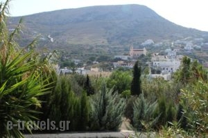Argo Studios_best prices_in_Hotel_Cyclades Islands_Syros_Posidonia