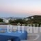 Spanos Apartments_travel_packages_in_Cyclades Islands_Andros_Gavrio