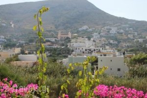 Argo Studios_travel_packages_in_Cyclades Islands_Syros_Posidonia