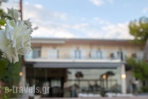 Ignatia Hotel_best prices_in_Hotel_Peloponesse_Argolida_Argos