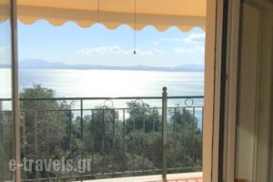 Apartment Nisaki_accommodation_in_Apartment_Ionian Islands_Corfu_Vatos