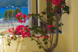 Kalypso Studios & Apartments_travel_packages_in_Ionian Islands_Kefalonia_Vlachata
