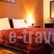 Hotel Odysseas_best deals_Hotel_Thessaly_Karditsa_Kalyvia