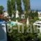 Panorama Paros_best deals_Hotel_Cyclades Islands_Paros_Paros Chora