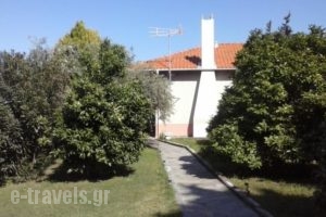 Vista Del Mare Luxury Villa_lowest prices_in_Villa_Aegean Islands_Thassos_Thassos Chora