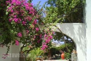 Apaggio Apartments_holidays_in_Apartment_Cyclades Islands_Amorgos_Katapola