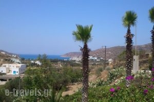 Apaggio Apartments_best prices_in_Apartment_Cyclades Islands_Amorgos_Katapola