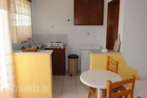Isavella Studios_best prices_in_Hotel_Ionian Islands_Zakinthos_Zakinthos Rest Areas