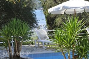 Egli Apartments_holidays_in_Apartment_Ionian Islands_Corfu_Kondokali