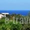 Villa Eleni_travel_packages_in_Crete_Rethymnon_Rethymnon City
