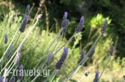 Villa Aquilo_s __1