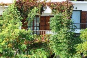 Korali Apartments_lowest prices_in_Room_Aegean Islands_Samos_MarathoKambos