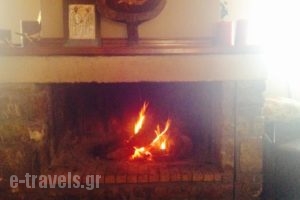 Apollonion Hotel_lowest prices_in_Hotel_Peloponesse_Ilia_Andritsena