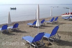 Alexandros Apartments_holidays_in_Apartment_Peloponesse_Messinia_Petalidi