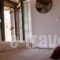 Villa Asterina_accommodation_in_Villa_Thessaly_Magnesia_Zagora