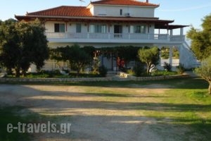 Mikro Nisi Studios_travel_packages_in_Ionian Islands_Zakinthos_Zakinthos Rest Areas