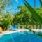 Villa Eden_best prices_in_Villa_Aegean Islands_Thasos_Thasos Chora