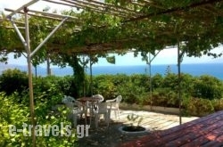 Thanasis Apartments in Kefalonia Rest Areas, Kefalonia, Ionian Islands