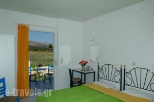 Thalia Studios_lowest prices_in_Hotel_Ionian Islands_Zakinthos_Laganas