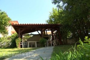 The Archontariki_lowest prices_in_Hotel_Macedonia_Halkidiki_Chalkidiki Area
