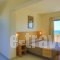 City Center Hotel_accommodation_in_Hotel_Dodekanessos Islands_Rhodes_Rhodes Chora