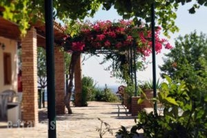 Panorama Apartments_best prices_in_Apartment_Ionian Islands_Zakinthos_Zakinthos Rest Areas