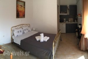 Elenas Apartments_best prices_in_Apartment_Ionian Islands_Paxi_Paxi Chora
