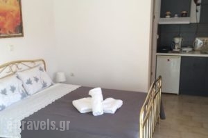 Elenas Apartments_lowest prices_in_Apartment_Ionian Islands_Paxi_Paxi Chora