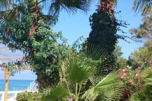 Villa In The Sea Crete_holidays_in_Villa_Crete_Chania_Akrotiri