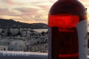 Lefteris Hotel_holidays_in_Hotel_Cyclades Islands_Mykonos_Mykonos Chora