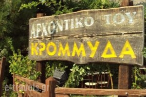 Archontiko Tou Krommyda_travel_packages_in_Thessaly_Karditsa_Oxia