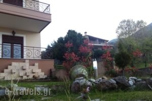Olympus House_holidays_in_Hotel_Macedonia_Pieria_Litochoro