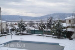 Villa Platythea_holidays_in_Villa_Macedonia_Florina_Florina City