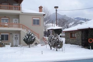 Villa Platythea_best prices_in_Villa_Macedonia_Florina_Florina City