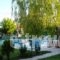 Villa Platythea_lowest prices_in_Villa_Macedonia_Florina_Florina City