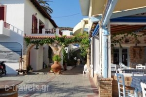 Saronis Hotel_best deals_Hotel_Piraeus Islands - Trizonia_Agistri_Agistri Chora