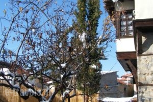 Archontiko Dintsiou_holidays_in_Hotel_Macedonia_Grevena_Grevena City