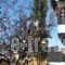 Archontiko Dintsiou_holidays_in_Hotel_Macedonia_Grevena_Grevena City